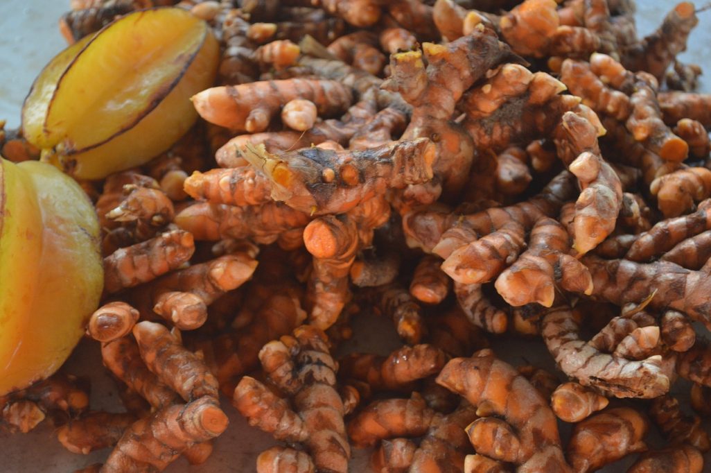 raw turmeric rhizomes