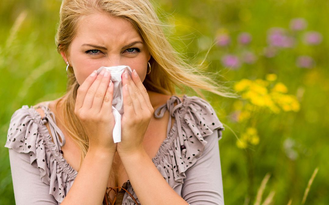 Hayfever Remedies