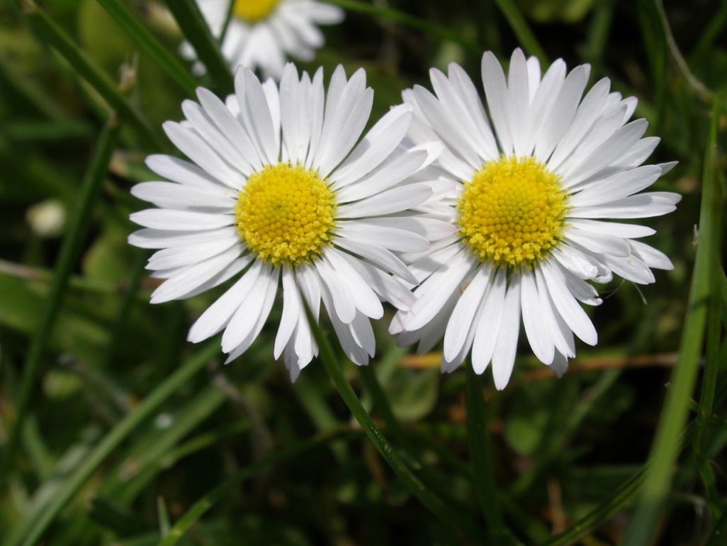 Spring Equinox