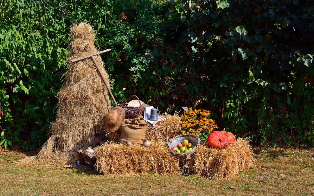 Autumn Equinox