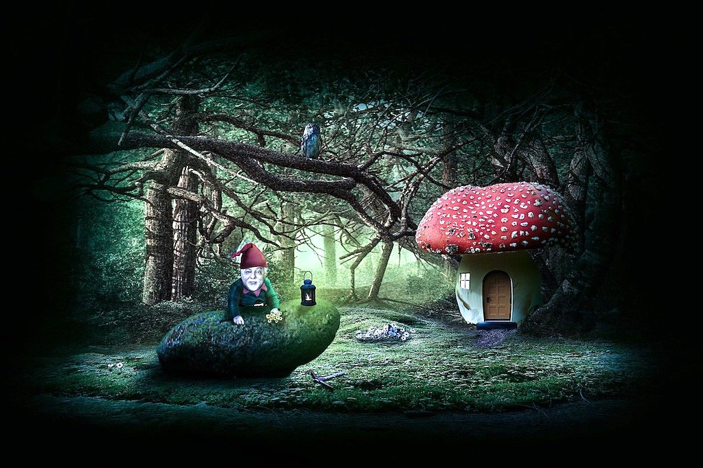 gnome and fly agaric house