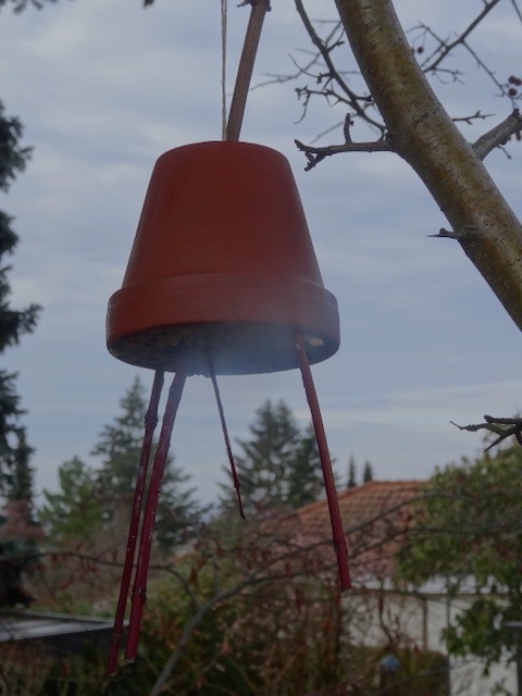 Making Birdseed Feeders