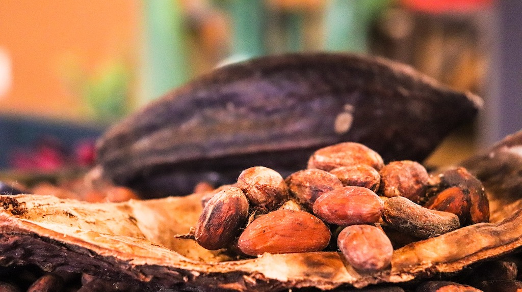 12 amazing superfood properties of Cacao
