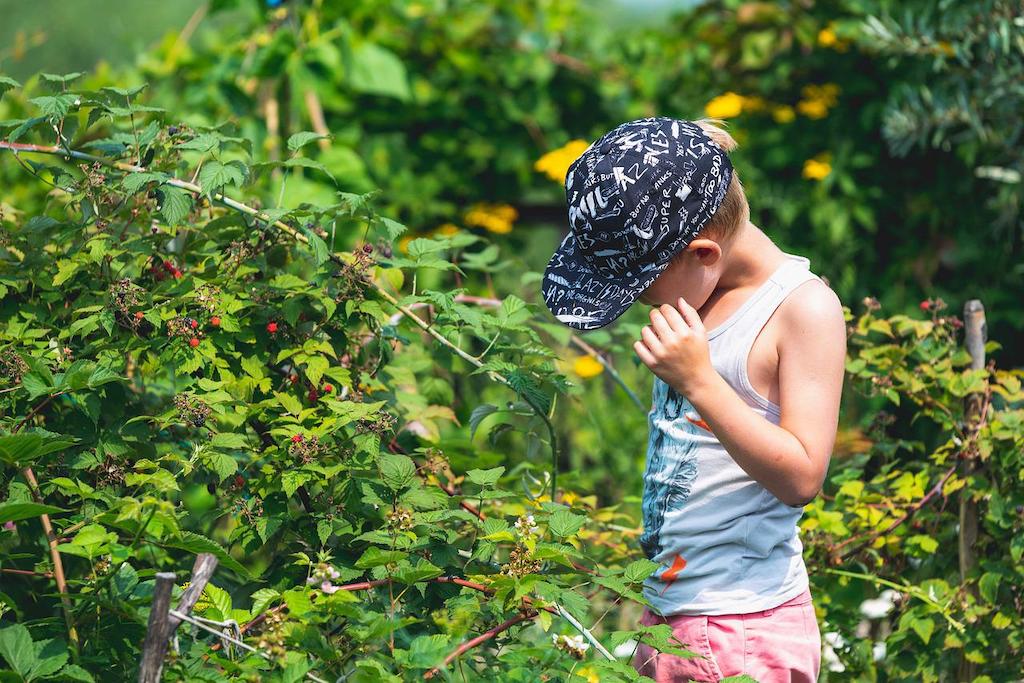 child foraging